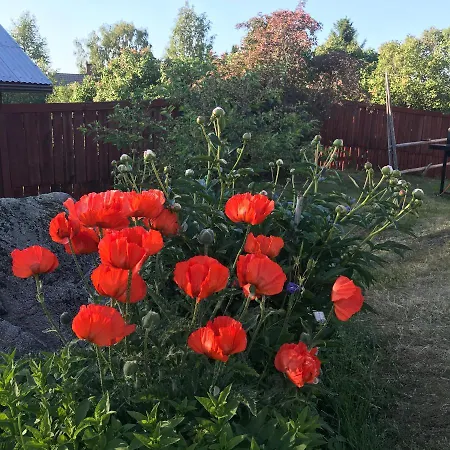 Citymoekki Gerendaház